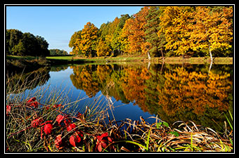 Herbstfarben 2016