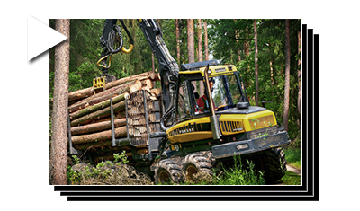 WALDARBEITEN - Teil 1 | 28.05.2016 | Dohnwald bei Herzogenaurach | Fotoreportage