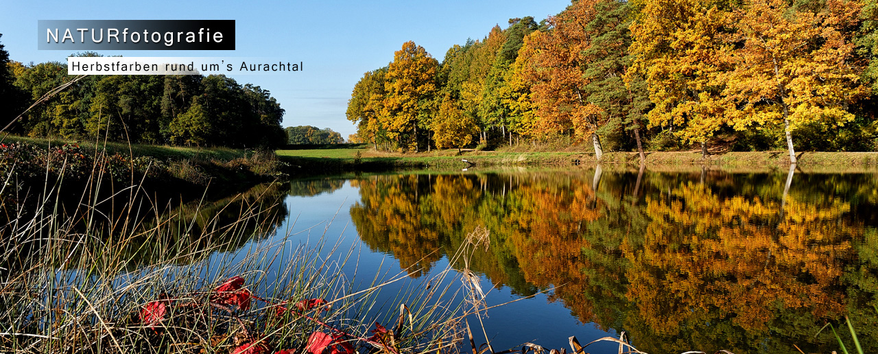 Herbstfarben rund um's Aurachtal